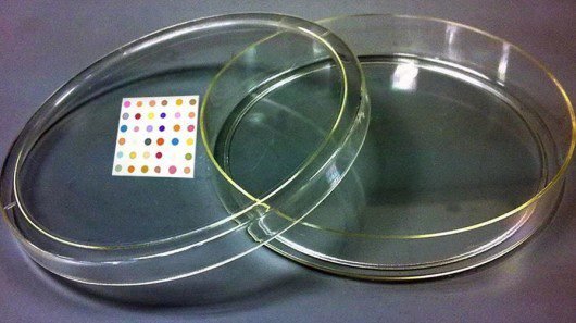 Notícia: Inteligência artificial identifica bactérias