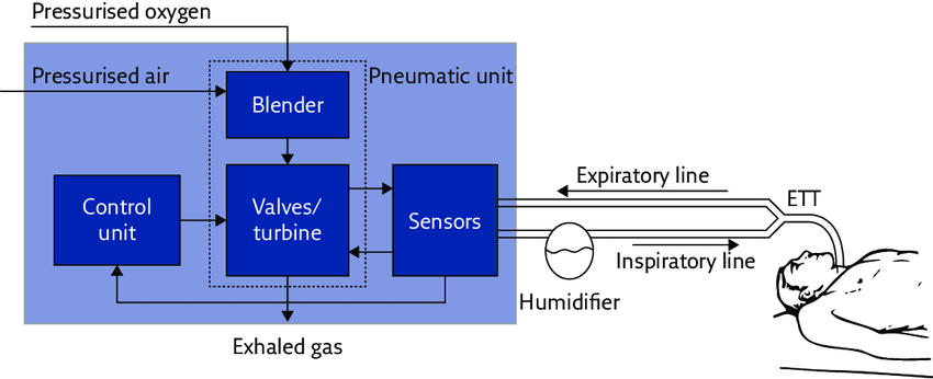 components of mechanical ventilator