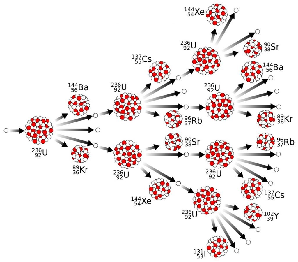 nuclear fission products