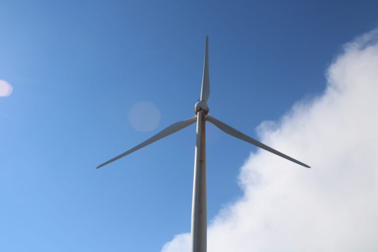 Visit to Bom Jardim da Serra Wind Park