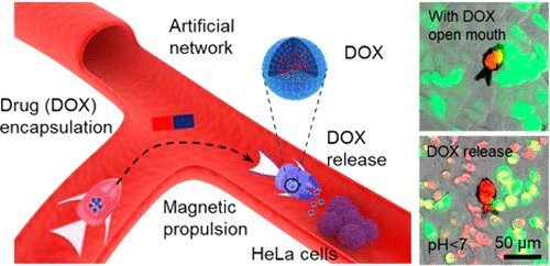 microbot on blood vessel