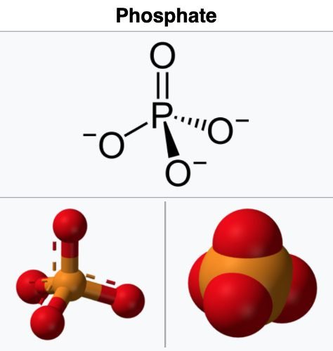 íon fosfato