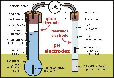 Os eletrodos do medidor de pH