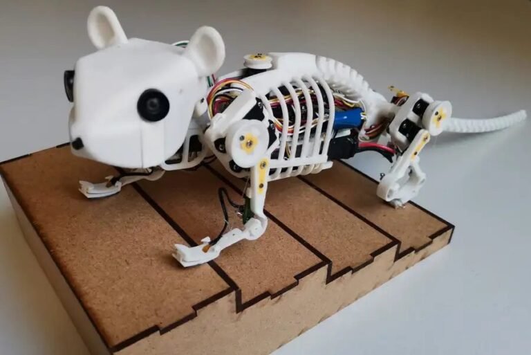 NeRmo, the robotic mouse with a flexible spine