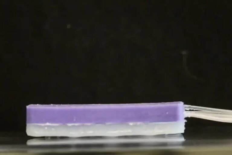 Snail robot moves by mucus