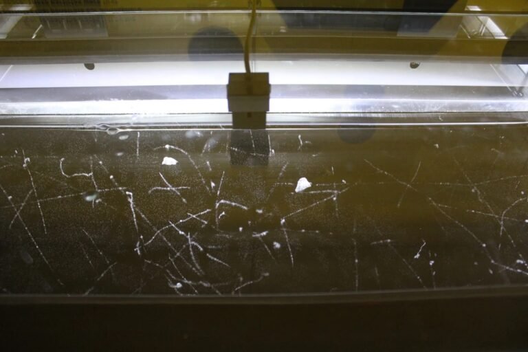 Câmara de Wilson: o que é e como funciona?