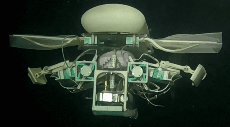 Um novo robô marinho para explorar o fundo do mar