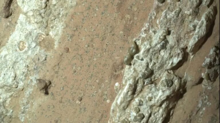Does NASA found evidence of life in Mars?