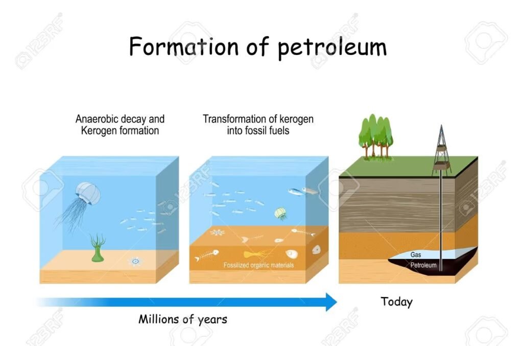 petroleum formation