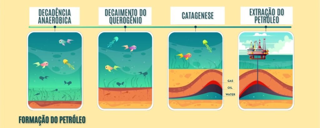 formação do petróleo